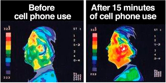 Cell Phone Use