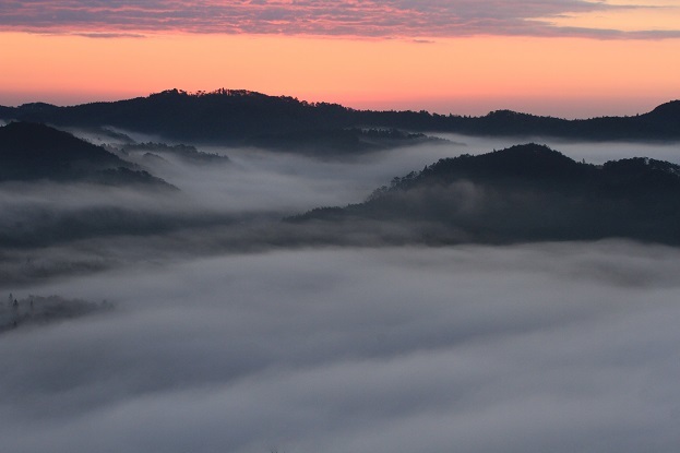 黎明の朝霧３