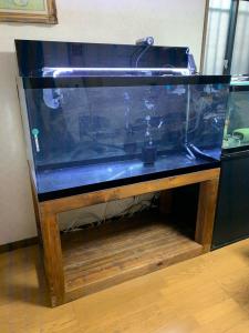 新作人気モデル 1ガラス水槽set 魚用品 水草 Www Janvier Labs Com