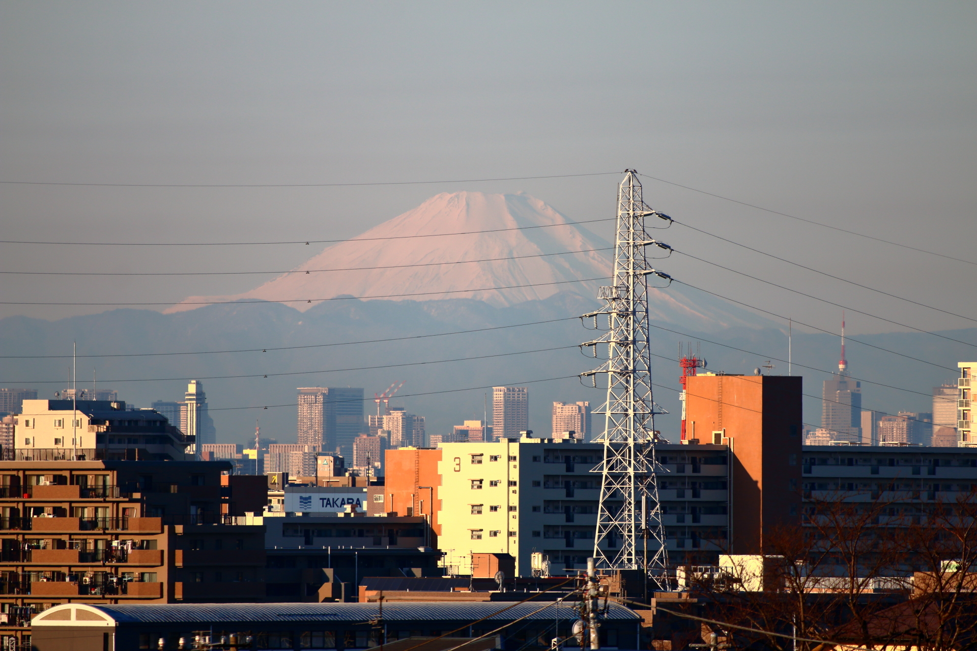 １月３日の富士山