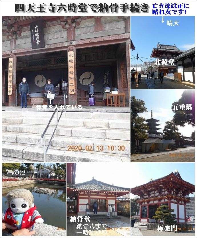 納骨 四 天王寺 大阪でペットも一緒に入れる「泰聖寺納骨堂」
