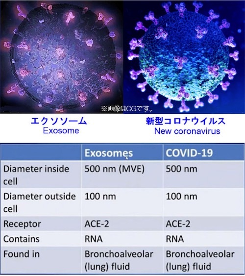 エクソソームと新型コロナウイルスの比較画像FEODAB5aAAAf0N-