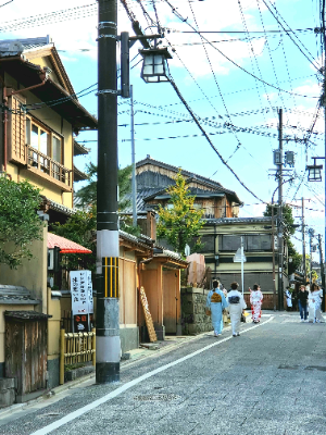 京都巡り4
