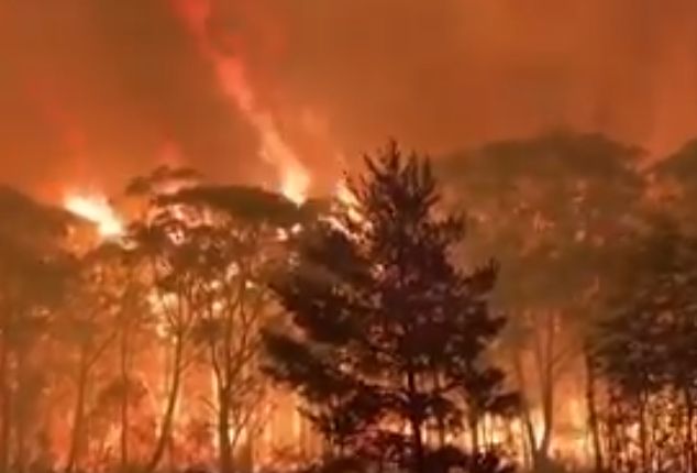 火事 オーストラリア 山 30年ぶりの大雨ですべての山火事が収束へ オーストラリア(森さやか)