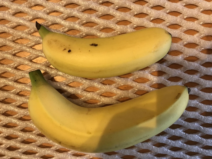 banana19110304.jpg