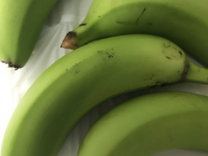 banana19110901.jpg