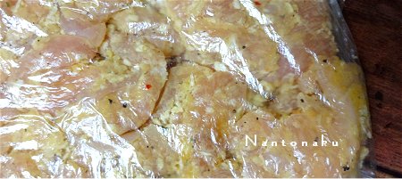NANTONAKU 10-20 レモン　岩塩　こしょう　ハーブ　片栗粉　パン粉　2