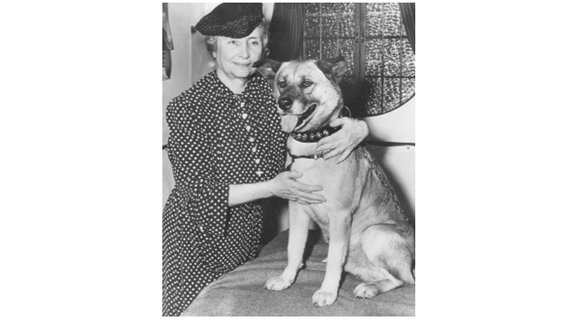 海外の反応 海外 縁起がいい 日本がヘレン ケラーに贈った秋田犬の名前に海外ビックリ仰天 海外ピーポー