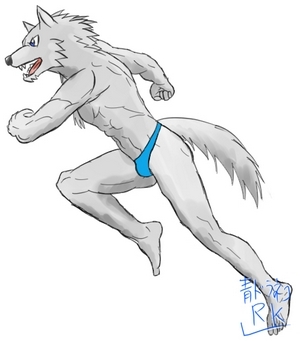 ジョギング灰色狼