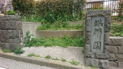 麒麟園　階段状の石　横浜山手