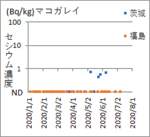 茨城産から見つかっても福島産マコガレイは見つからないセシウム
