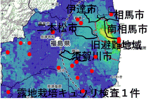 汚染されている伊達市、二本松市、須賀川市産露地栽培キュウリを検査しない福島県