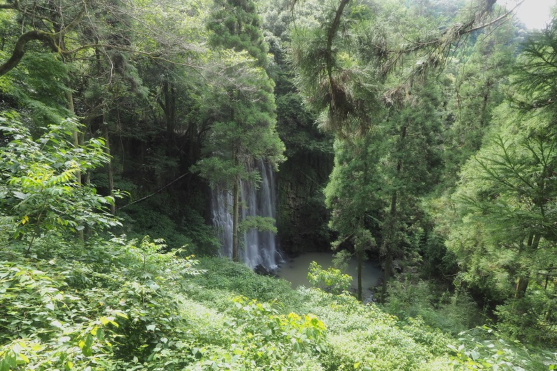 楓葉の滝 (1)