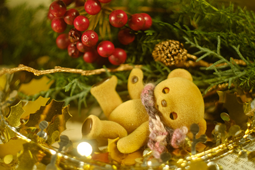 ツバキアキラが撮った、ハニーベア・ミモザのディーくん。クリスマスのスワッグを作って頂いたので、ディーくんの初クリスマス。今日はまだクリスマス・イヴだけどね！