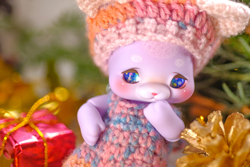 ツバキアキラが撮った、Cocoriang・cotton candy Poiのルゥたん。クリスマスにやって来てくれました！