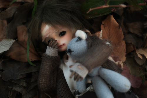 ツバキアキラが撮った、FairyCastle・Boboのカイエ。孤児院を脱走して、森の中をさすらっているようです。