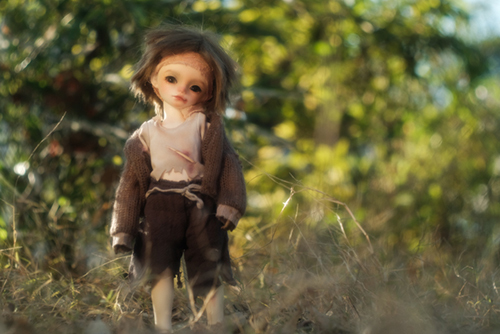 ツバキアキラが撮った、FairyCastle・Boboのカイエ。孤児院を脱走して、森の中をさすらっているようです。