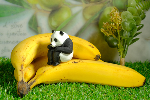 ツバキアキラが撮ったガチャガチャ、バンダイ・まちぼうけのパンダさん。誰かがバナナの皮を剥いてくれるのを待っているパンダさん。