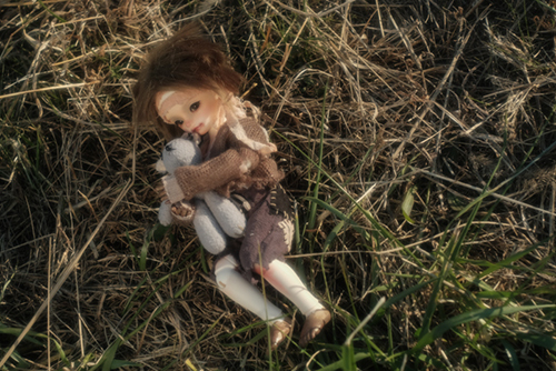 ツバキアキラが撮った、FairyCastle・Boboのカイエ。草むらをさすらうカイエ。