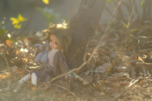 ツバキアキラが撮ったドール、FairyCastle・Boboのカイエ。冬の柔らかい日差しの中にたたずむカイエ。