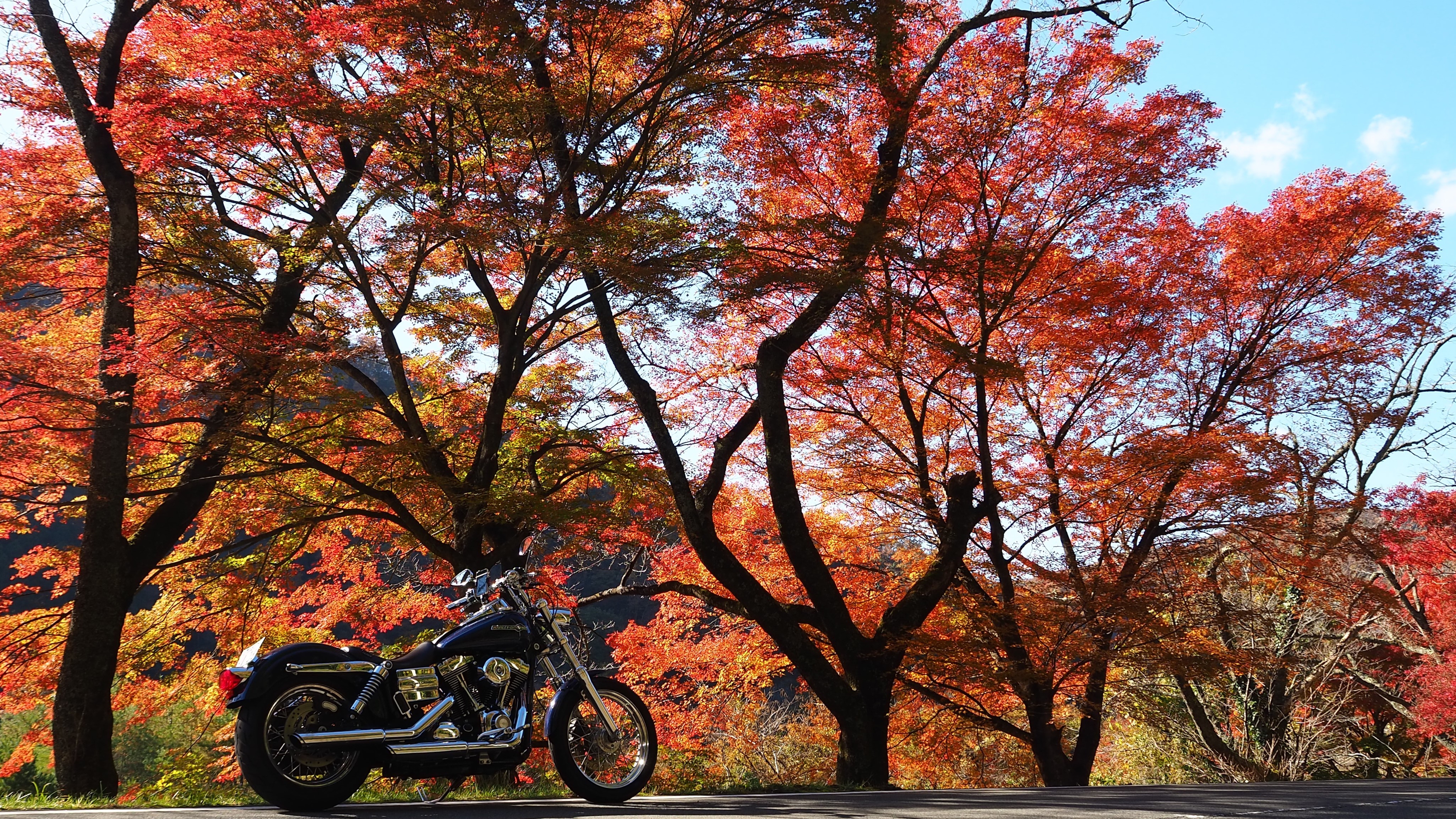 ぴーきち＆ダイナ　美山　かやぶきの里ツーリング　大野ダム編 紅葉が美しい道