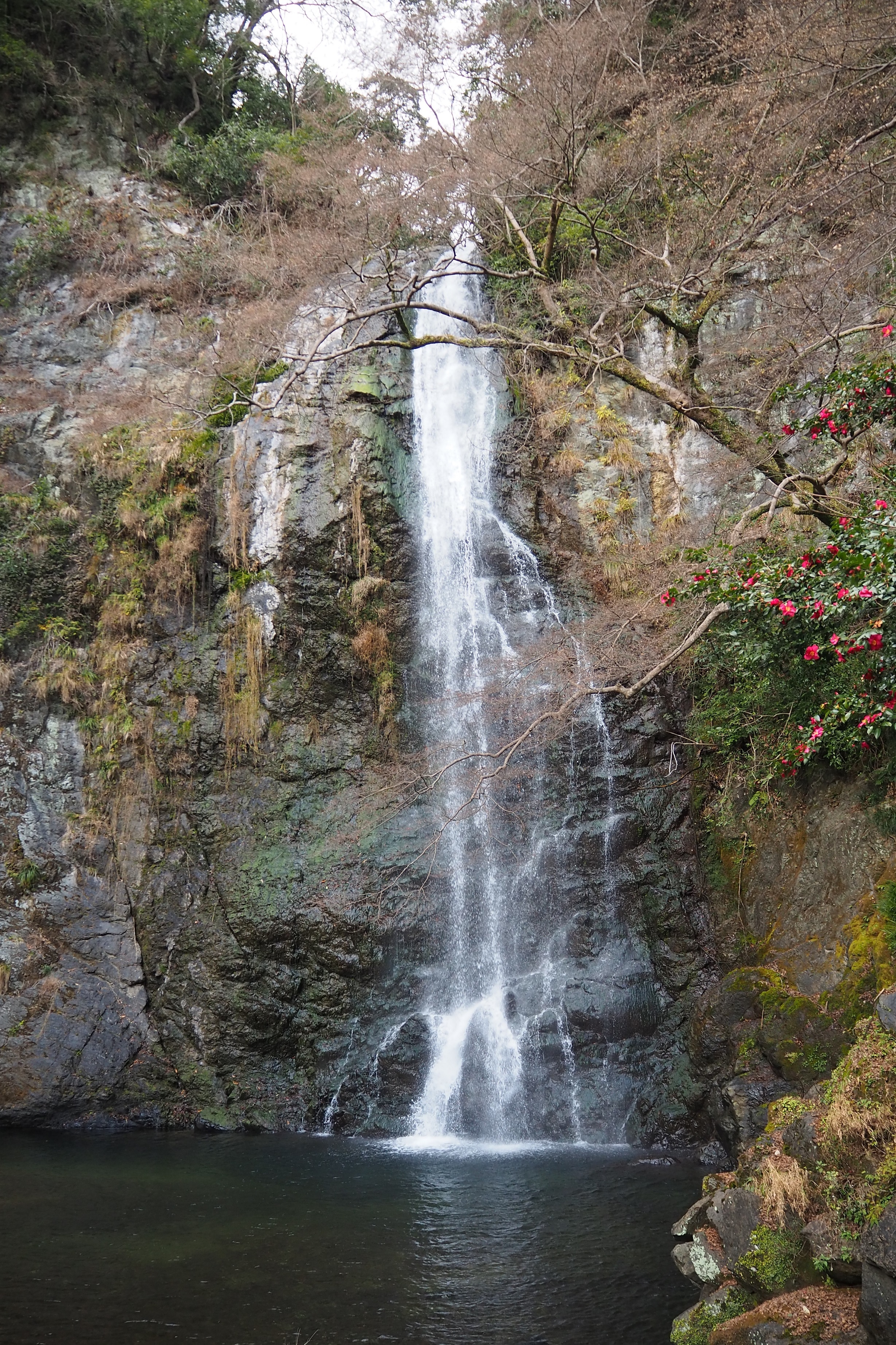ぴーきち＆ダイナ　箕面の滝ツーリング　箕面の大滝　冬の景色