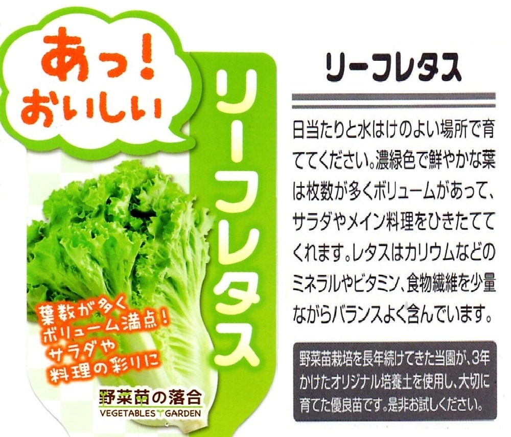 200227leaf_lettuce_nae2